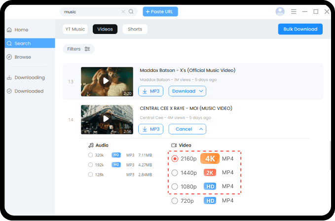HD/4K Video Download